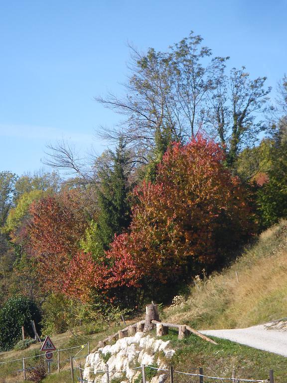 Gite Le Cerf De Belledonne Sainte-Agnès Εξωτερικό φωτογραφία