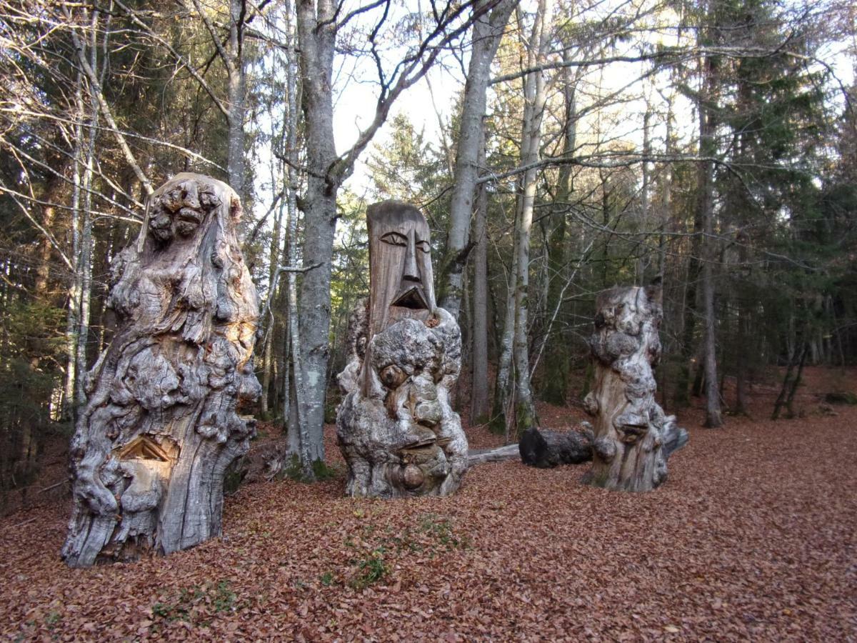 Gite Le Cerf De Belledonne Sainte-Agnès Εξωτερικό φωτογραφία