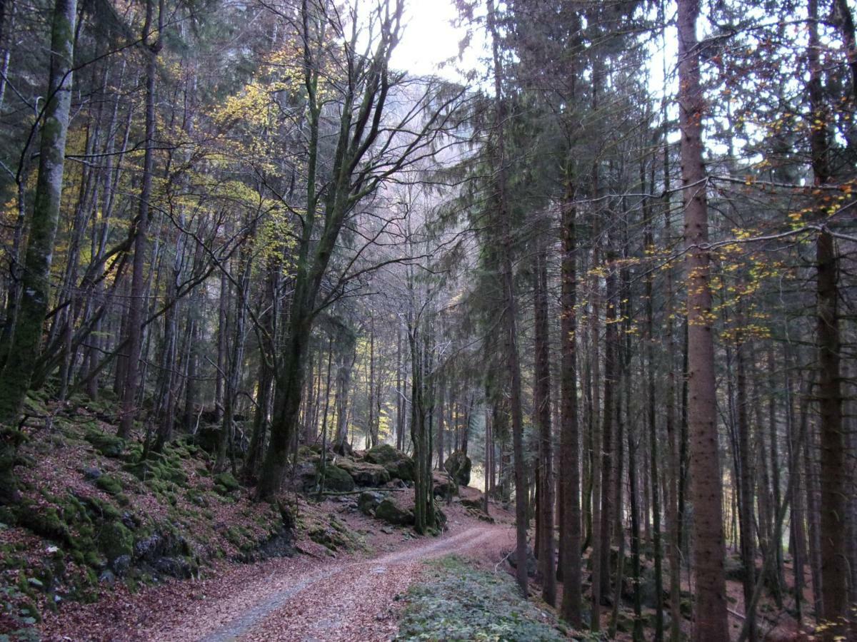 Gite Le Cerf De Belledonne Sainte-Agnès Εξωτερικό φωτογραφία